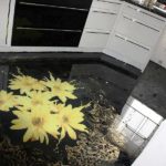 Наливной пол на кухне 1